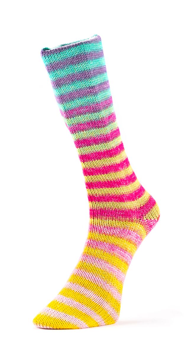 Laines du Nord Paint Socks 6 PLY Sockenwolle 6fädig 150 g