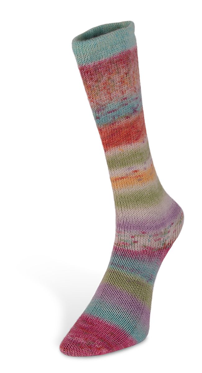 Laines du Nord Carnival Socks Sockenwolle 4fädig 100 g