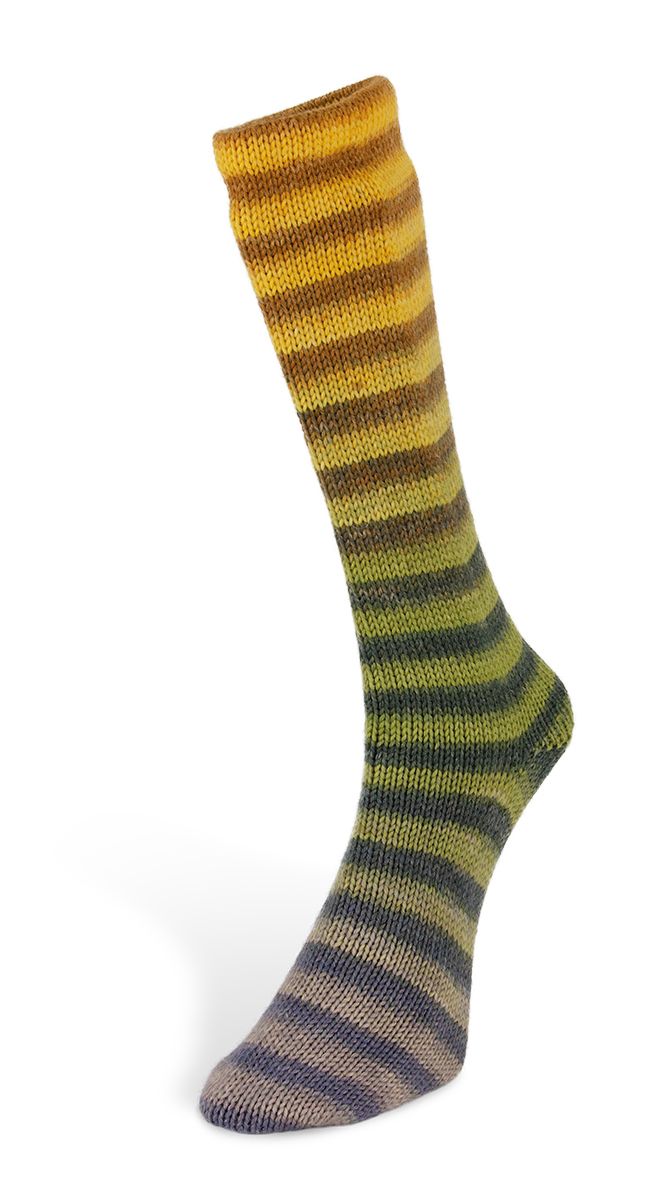 Laines du Nord Paint Socks 6 PLY Sockenwolle 6fädig 150 g