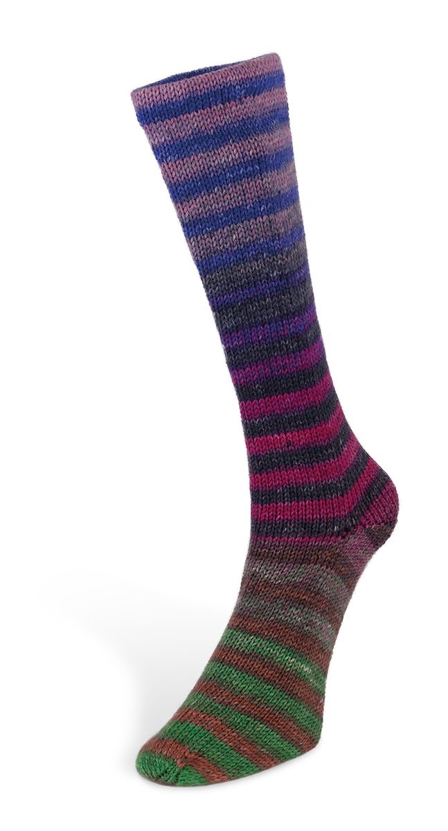 Laines du Nord Paint Socks 6 PLY Sockenwolle 6fädig 150 g