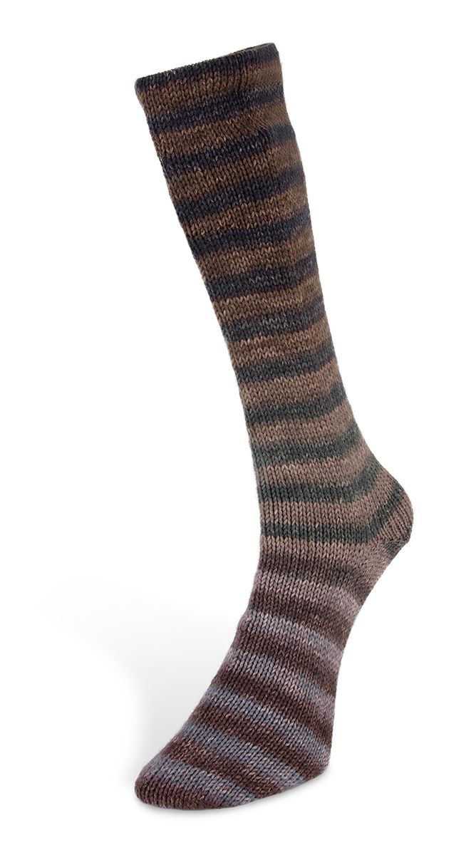 Laines du Nord Paint Socks 6 PLY Sockenwolle 6fädig 150 g