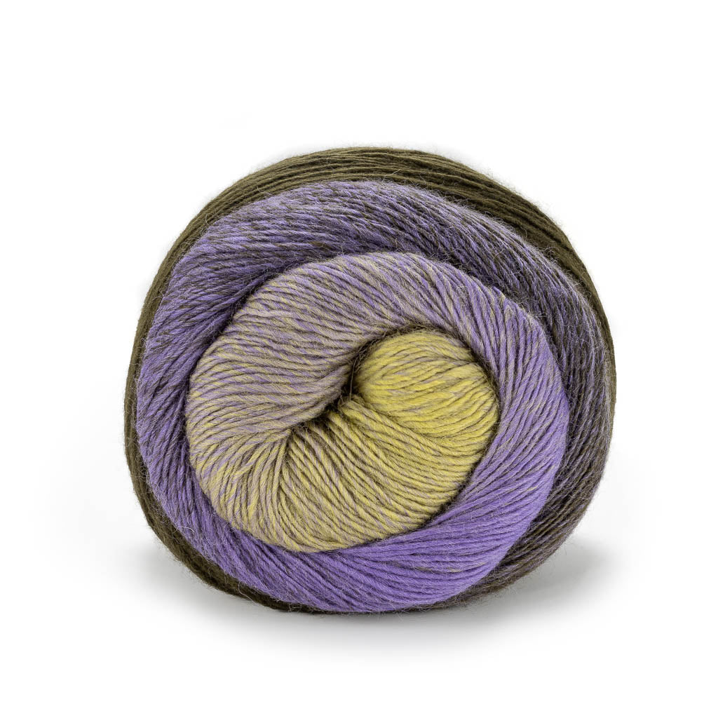 Laines du NORD Poema 150 g 100 %