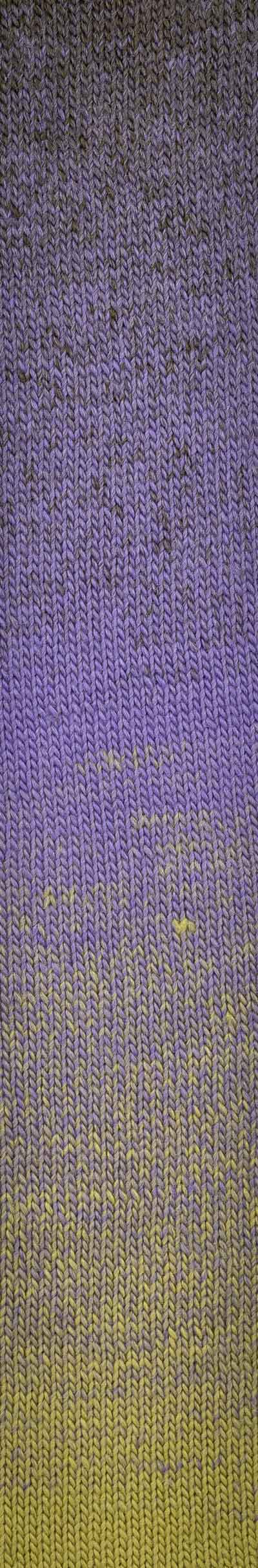 Laines du NORD Poema 150 g 100 %