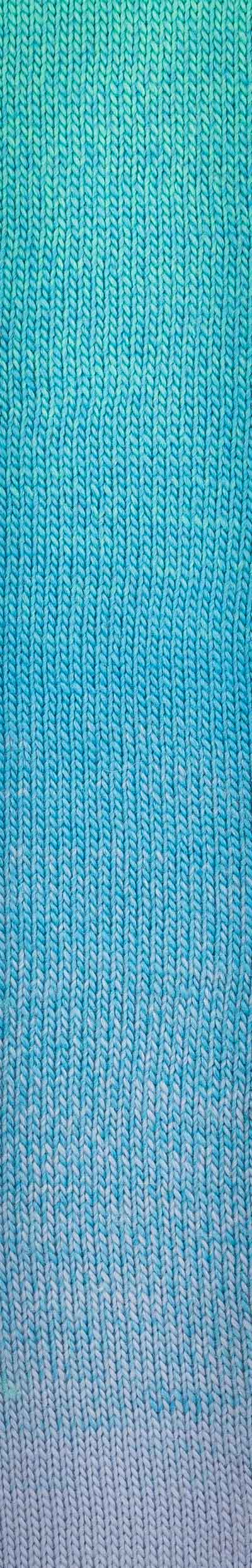 Laines du NORD Poema 150 g 100 %