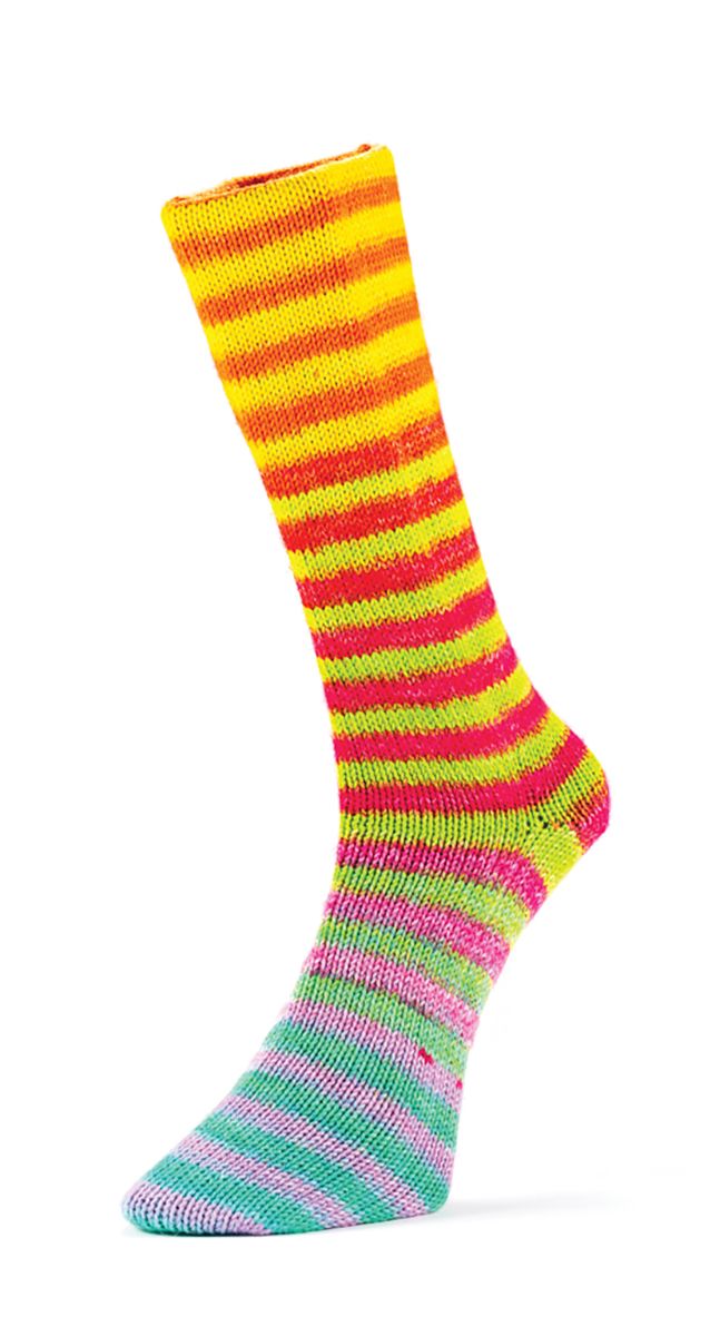 Laines du Nord Paint Socks 6 PLY Sockenwolle 6fädig 150 g