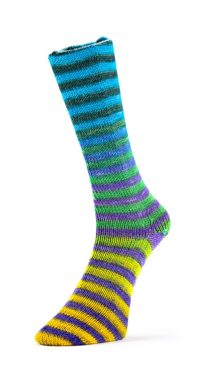 Laines du Nord Paint Socks 6 PLY Sockenwolle 6fädig 150 g