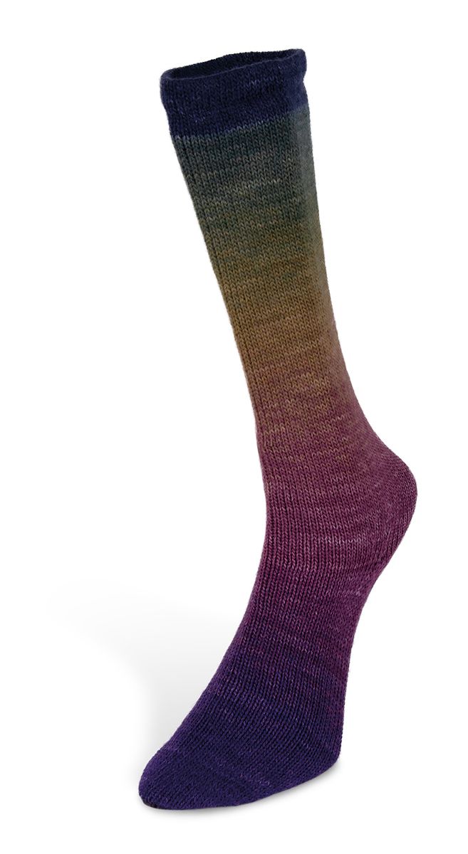 Laines du Nord Harmonious Sock Sockenwolle 4 fädig 100 g
