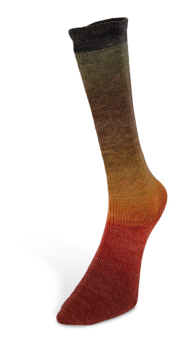 Laines du Nord Harmonious Sock Sockenwolle 4 fädig 100 g