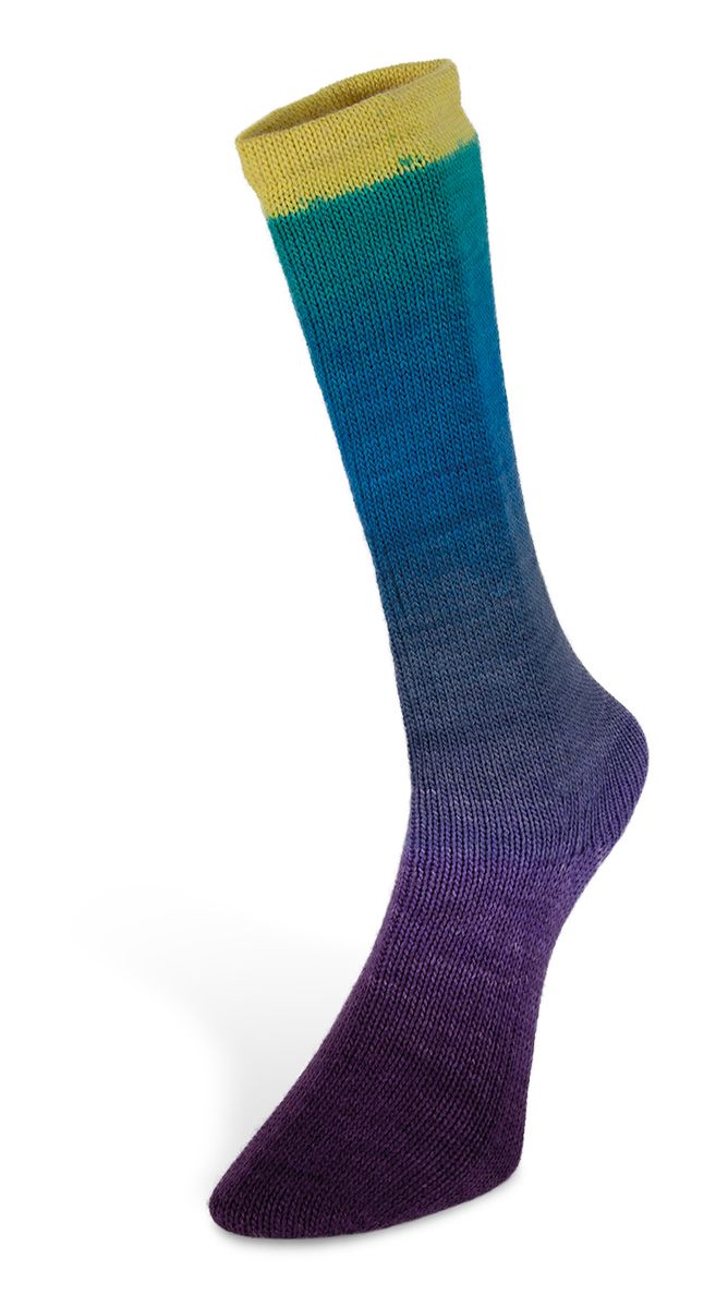 Laines du Nord Harmonious Sock Sockenwolle 4 fädig 100 g