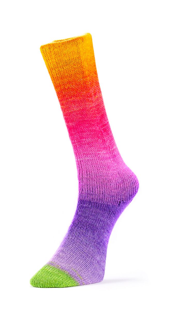 Laines du Nord Harmonious Sock Sockenwolle 4 fädig 100 g