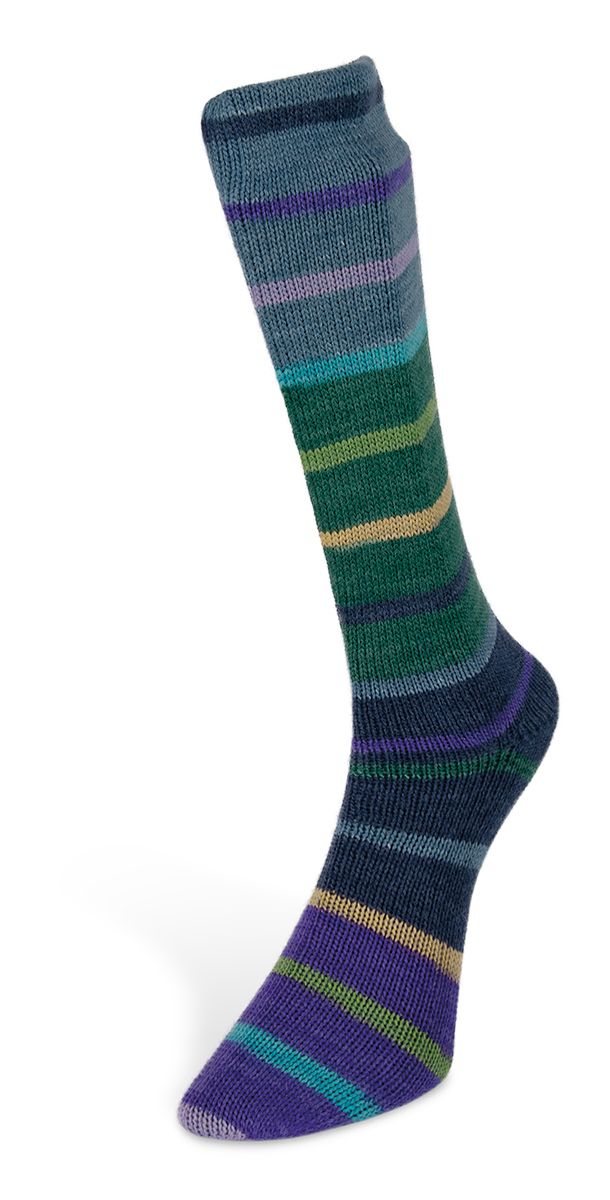 Laines du Nord Indulgence Sock Sockenwolle 4 fädig 100 g