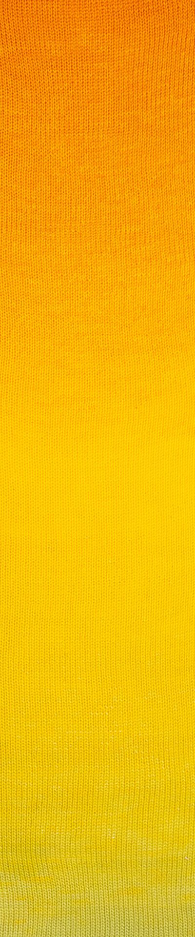 Laines du NORD Poema 150 g 100 %