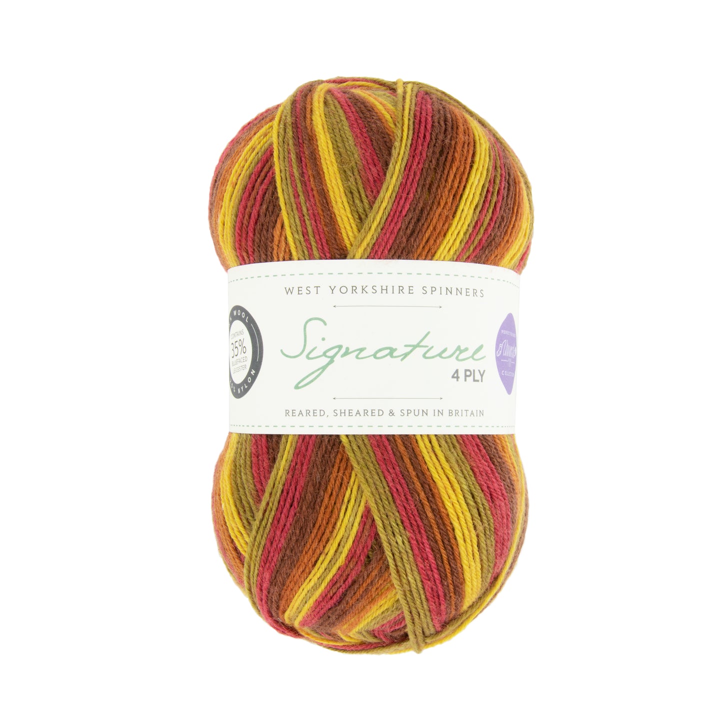 West Yorkshire Spinners Winwick Mum Sockenwolle 4fädig 100 g