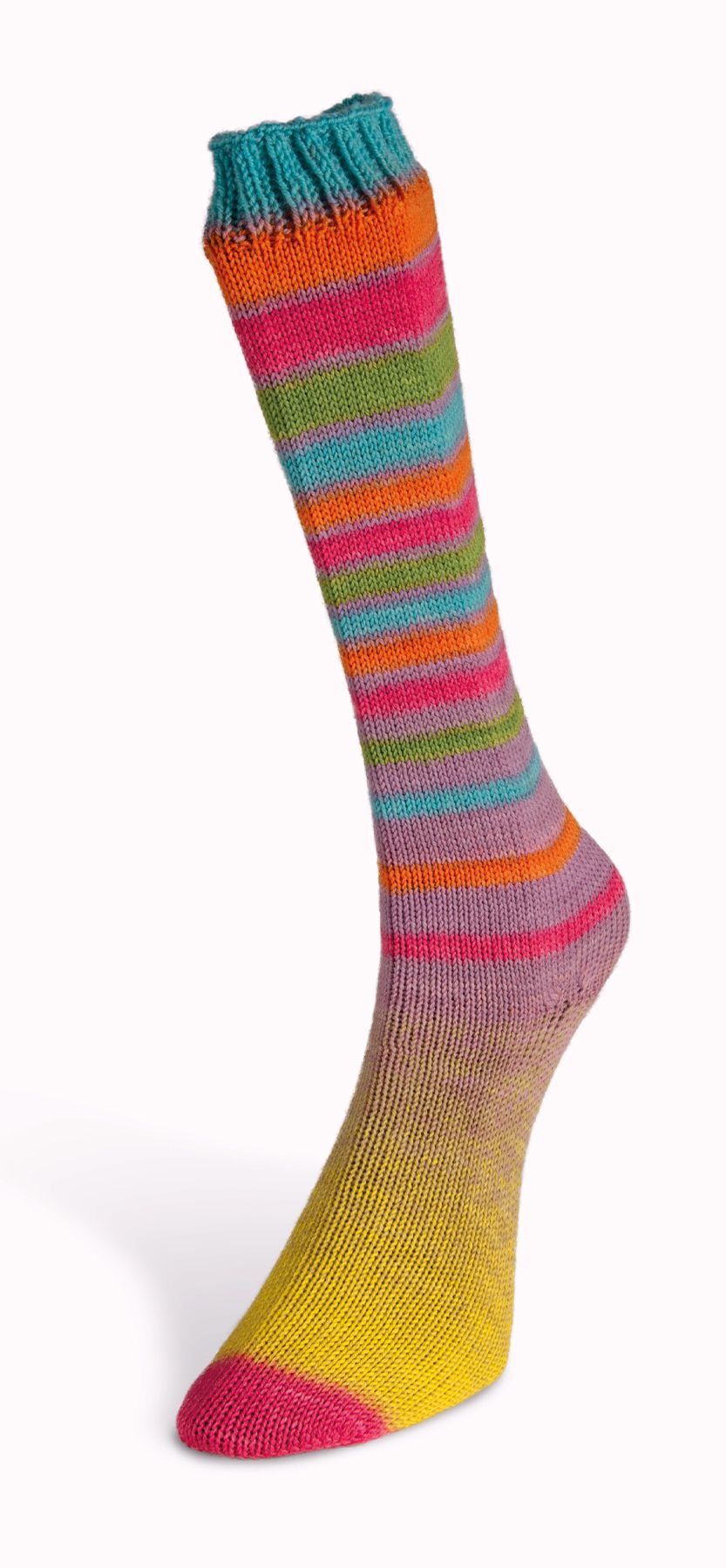 Laines du Nord Infinity Sock Sockenwolle 4fädig 100 g