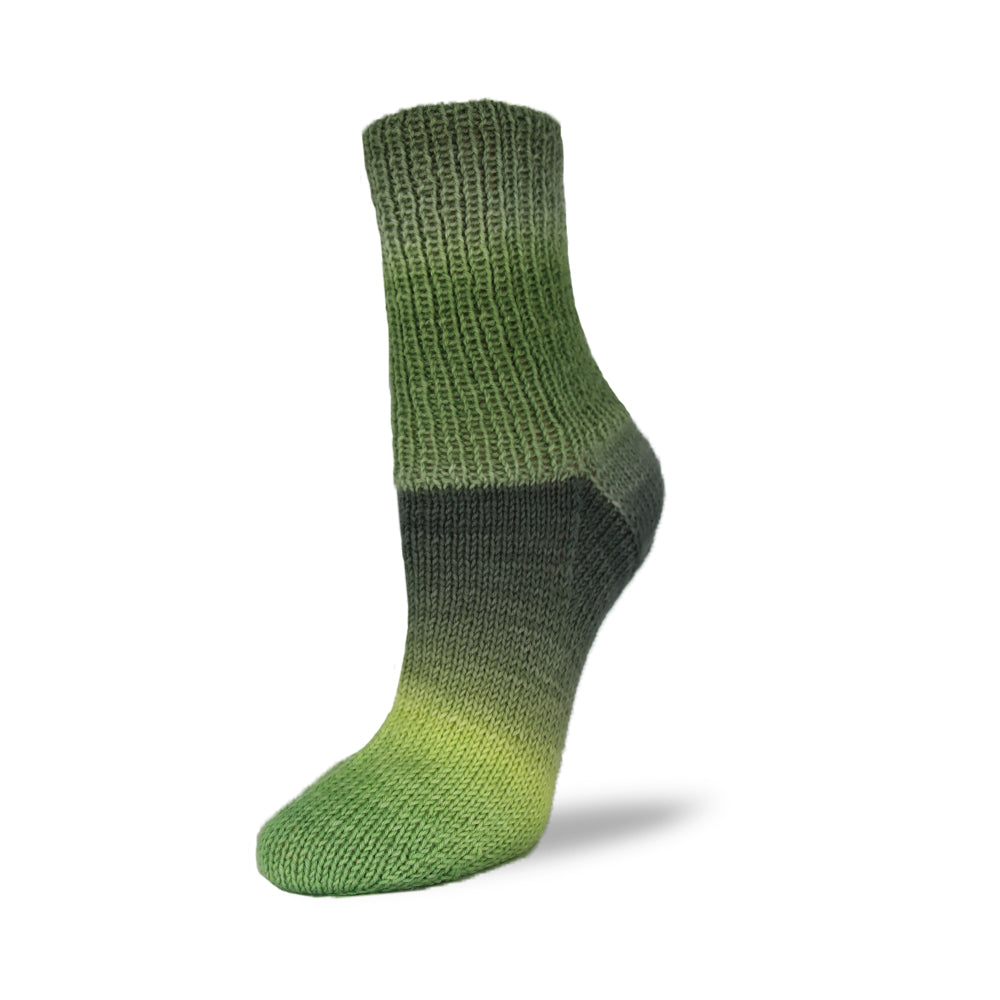 Rellana Flotte Socke Patagonia Shadow Sockenwolle