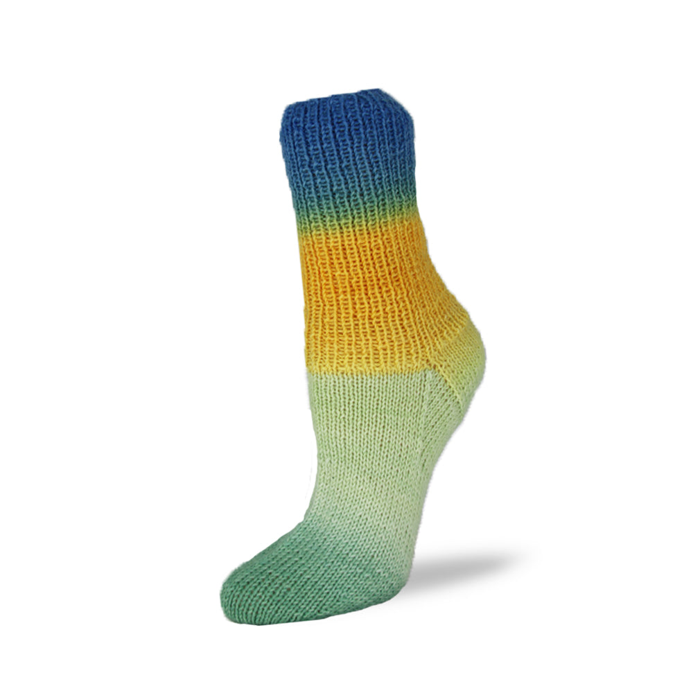 Rellana Flotte Socke Patagonia Shadow Sockenwolle